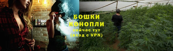 каннабис Магас